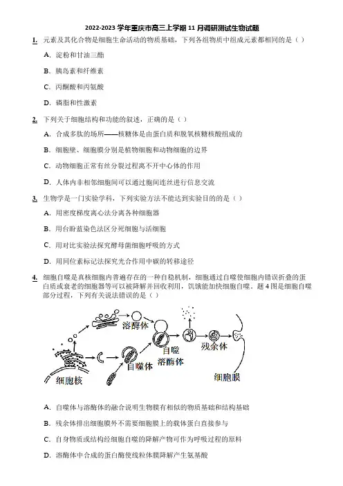 2022-2023学年重庆市高三上学期11月调研测试生物试题
