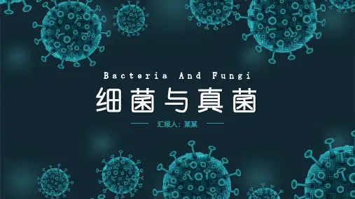 细菌与真菌生物PPT课件