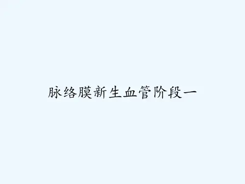 脉络膜新生血管阶段一-PPT