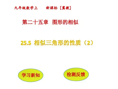 相似三角形的性质(2)PPT课件