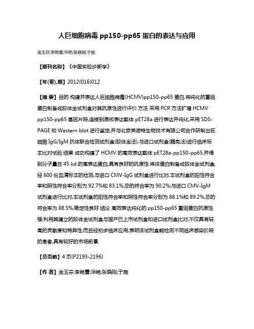 人巨细胞病毒pp150-pp65蛋白的表达与应用