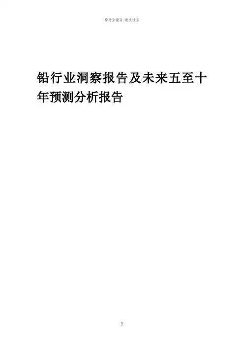 2023年铅行业洞察报告及未来五至十年预测分析报告
