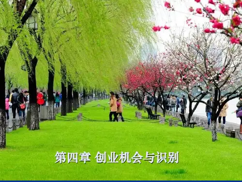 第4章创业机会与识别