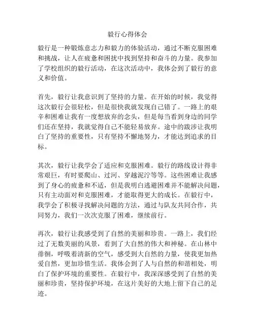 毅行心得体会