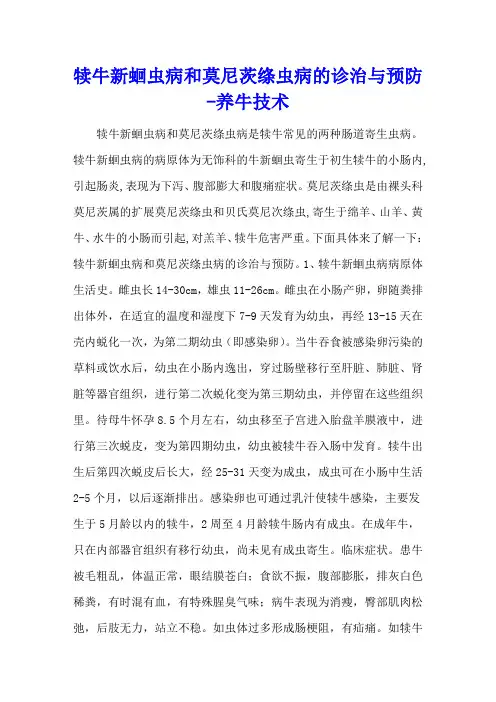 犊牛新蛔虫病和莫尼茨绦虫病的诊治与预防 - 养牛技术