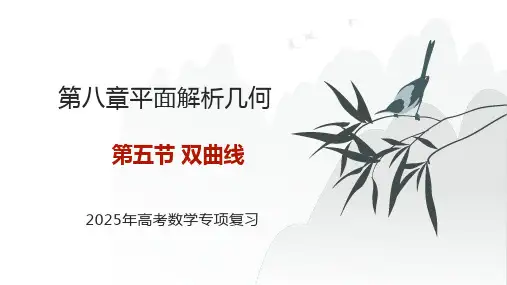 双曲线 2025年高考数学基础专项复习