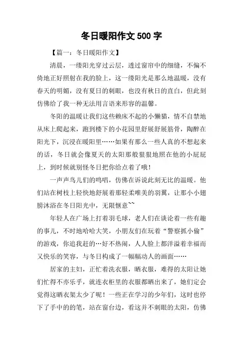 冬日暖阳作文500字