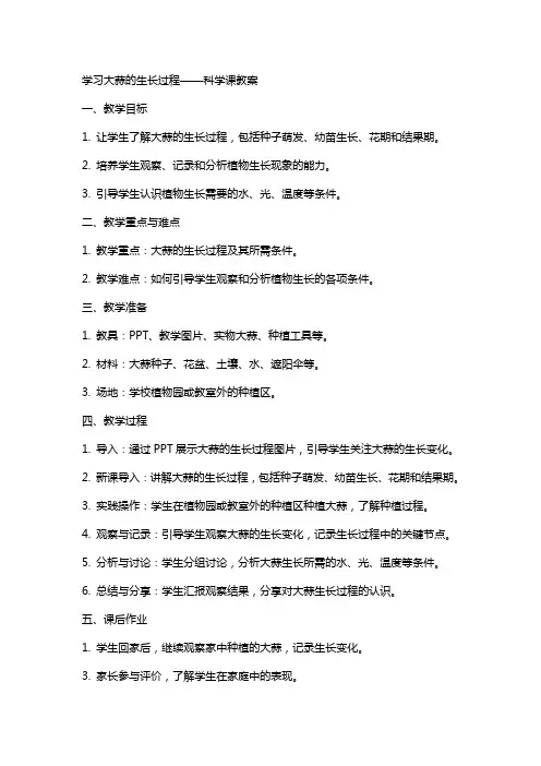 学习大蒜的生长过程——科学课教案