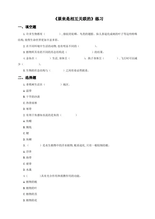 (教科版)小学六年级科学上册 第四单元第六课《原来是相互关联的》(练习)