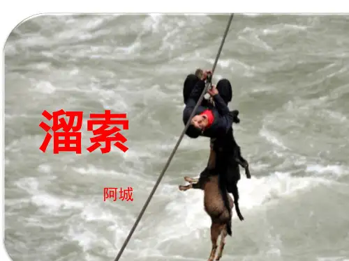 《溜索》ppt课件(15页)