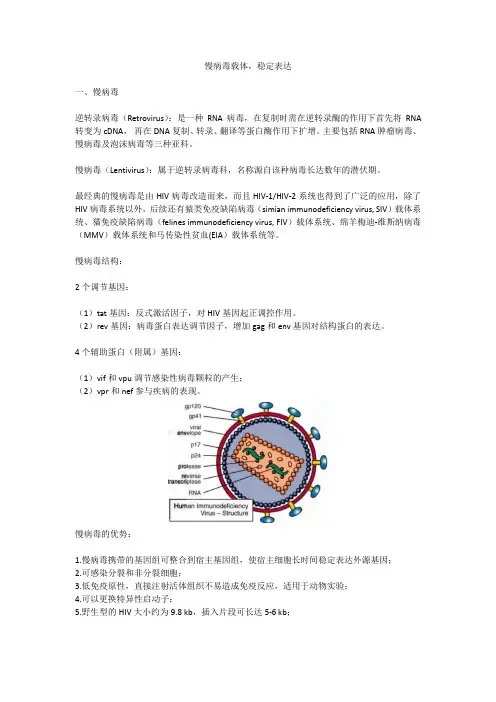 慢病毒载体,稳定表达