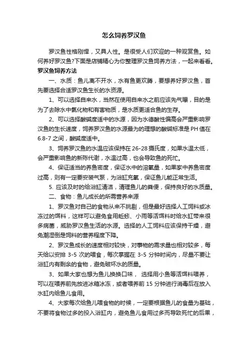 怎么饲养罗汉鱼
