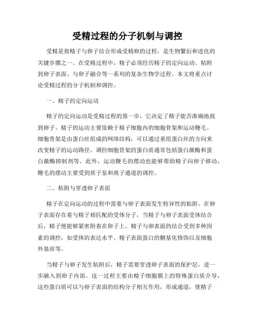 受精过程的分子机制与调控