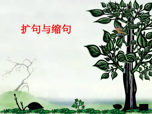 四年级语文句子复习2：扩句与缩句