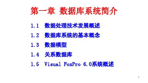 VFP数据库系统Visual FoxPro简介