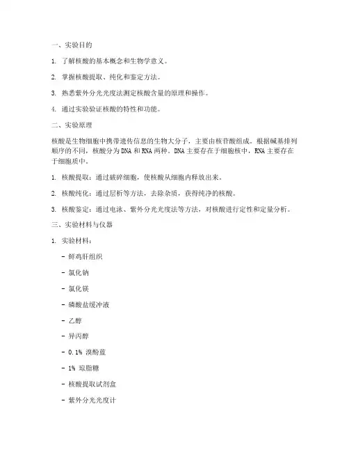 核酸的检验实验报告