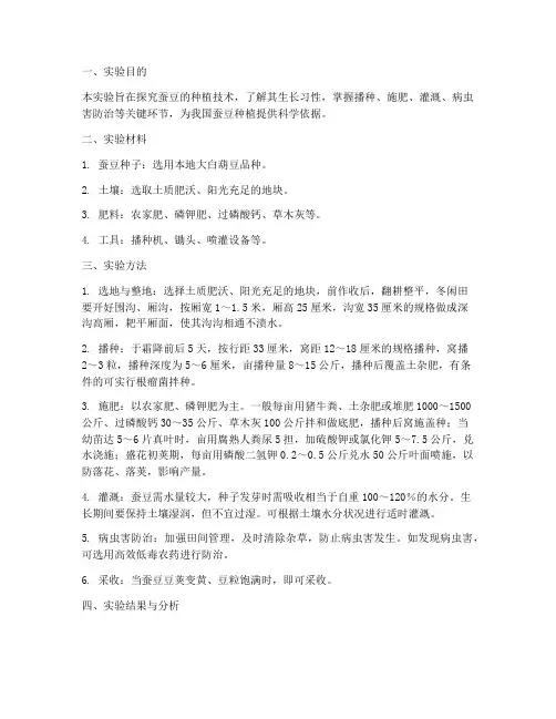 蚕豆种植实验报告
