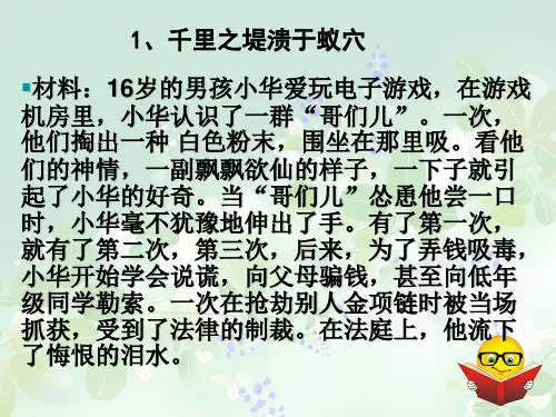 千里之堤溃于蚁穴PPT精品课件