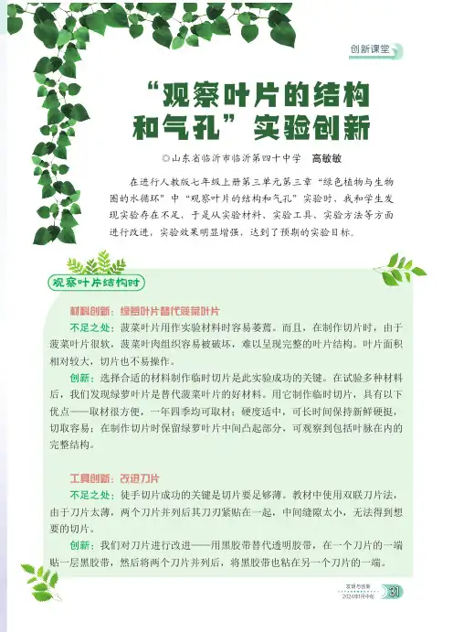 “观察叶片的结构和气孔”实验创新
