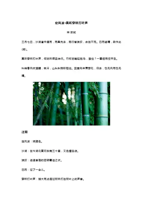 苏轼《定风波 莫听穿林打叶声》全诗译文及赏析