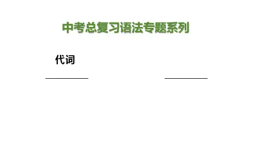 人教版英语中考总复习---代词
