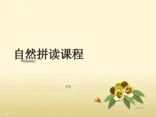 小学音标基础规则学习及练习英语字母自然拼读PPT课件
