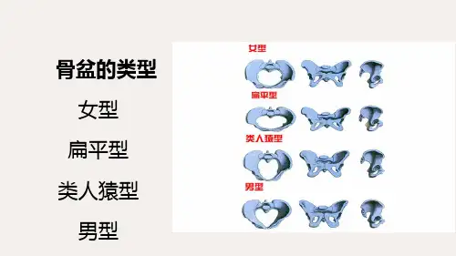妇产科学产道异常PPT培训课件
