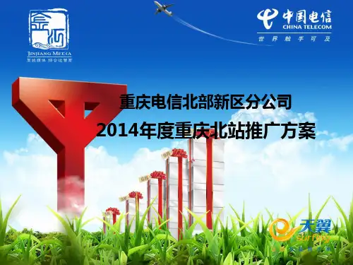电信ppt案例展示