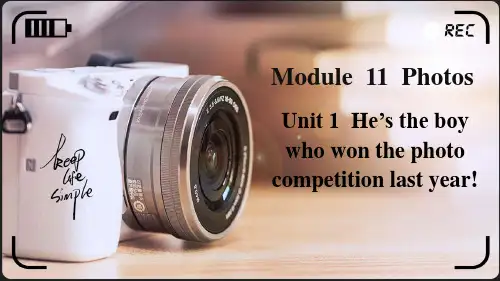 外研版英语九年级上册Module 11 Unit 1单词课件