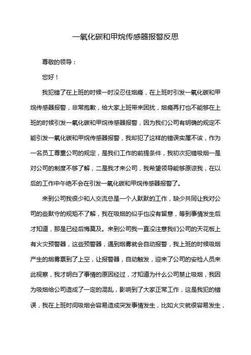 一氧化碳和甲烷传感器报警反思