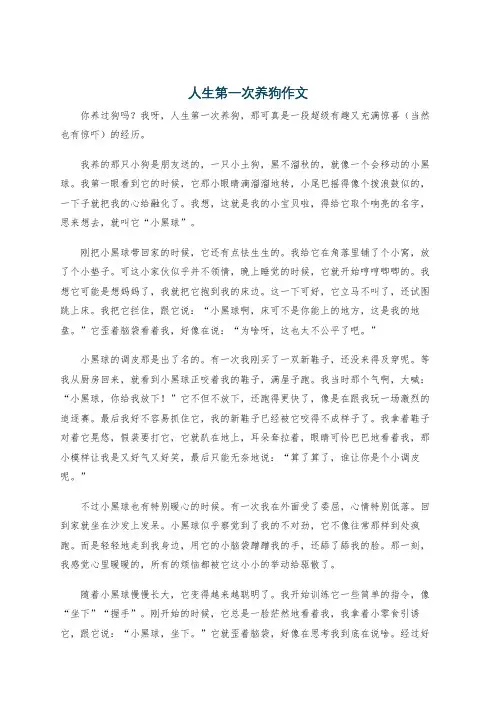 人生第一次养狗作文