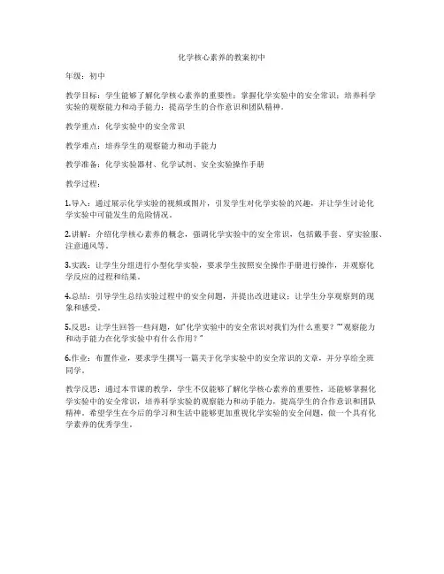 化学核心素养的教案初中
