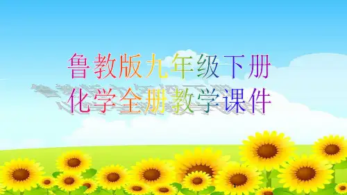 鲁教版九年级下册化学全册教学课件