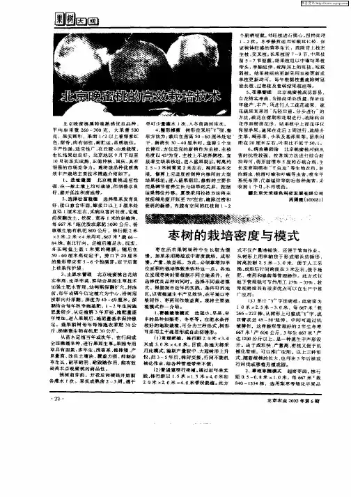 枣树的栽培密度与模式