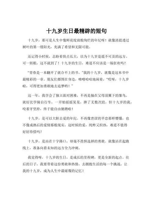 十九岁生日最精辟的短句
