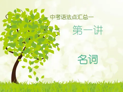 中考语法词性分类1(名词,冠词,数词,代词详解及练习)