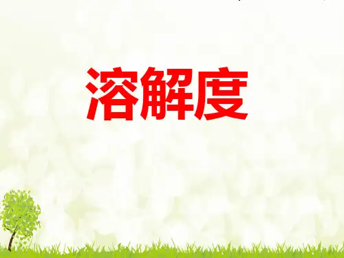 《溶解度》-完整版PPT课件