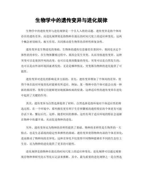生物学中的遗传变异与进化规律