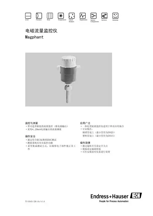 E+H流量仪表选型手册