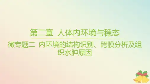 江苏专版2023_2024学年新教材高中生物第二章微专题二内环境的结构识别跨膜分析及组织水肿原因