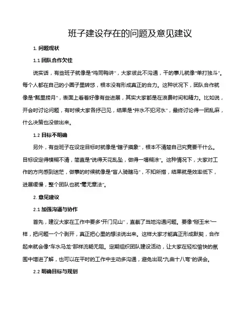 班子建设存在的问题及意见建议