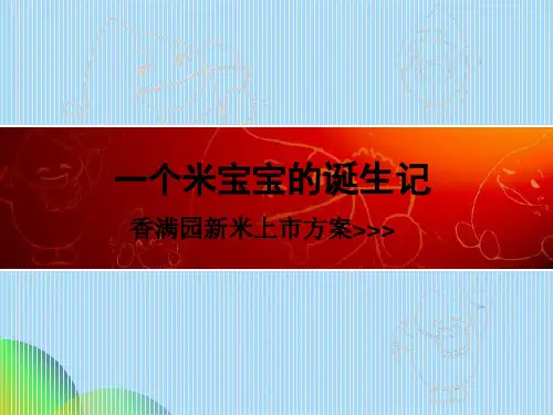 中国大米营销典范新品发布品牌推广方案ppt(共73张PPT)