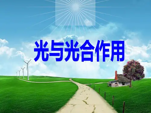 捕获光能的色素和结构课件ppt课件