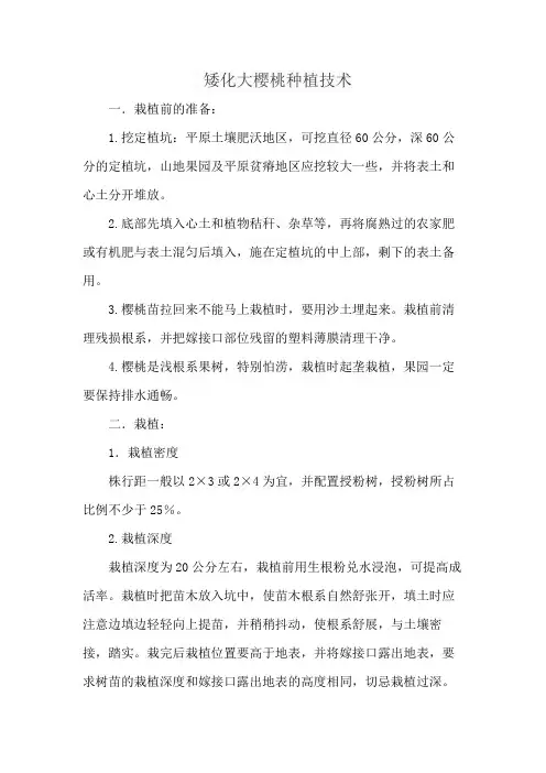 矮化大樱桃种植技术