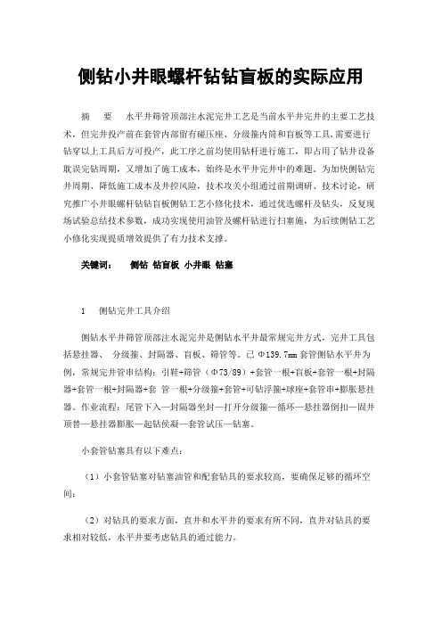 侧钻小井眼螺杆钻钻盲板的实际应用