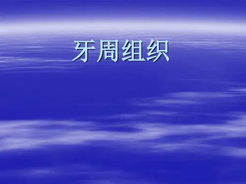 第4章 牙周组织