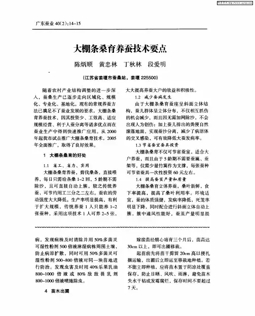 大棚条桑育养蚕技术要点