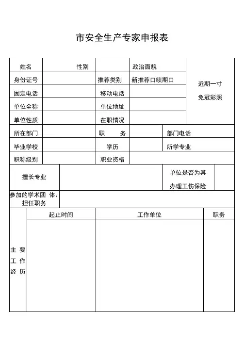 市安全生产专家申报表
