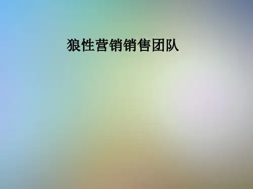 狼性营销销售团队