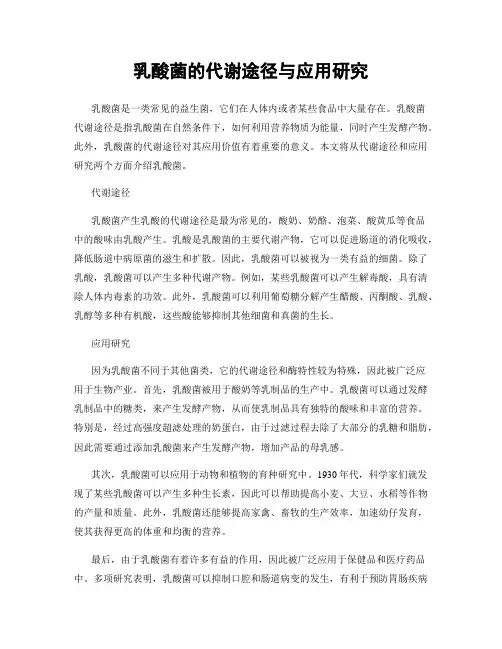 乳酸菌的代谢途径与应用研究